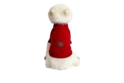 Freedog Jersey Frapp Red -Dog Supplies Sale Store 020051501 020052001 020052501 020053001 020053501 020054001 020054501 3 631b1d5354749