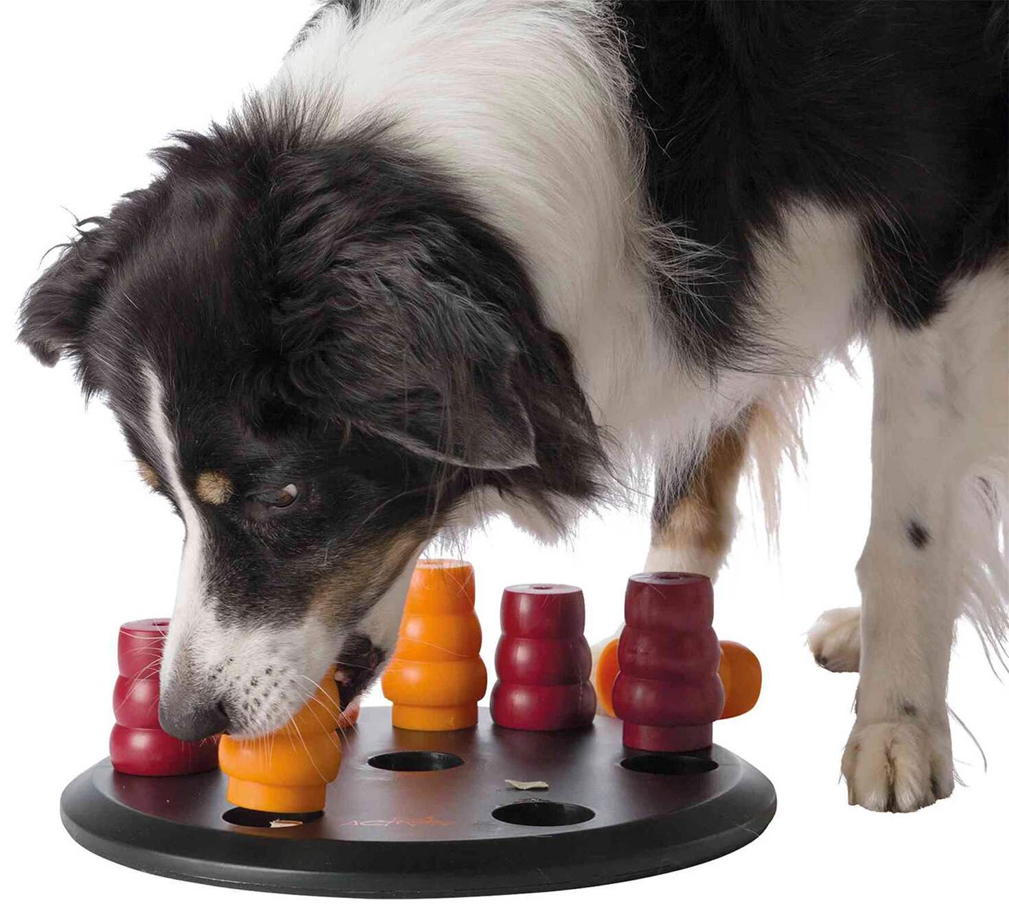 Trixie Dog Activity Solitaire 5 Trixie Dog Activity Solitaire - Image 3