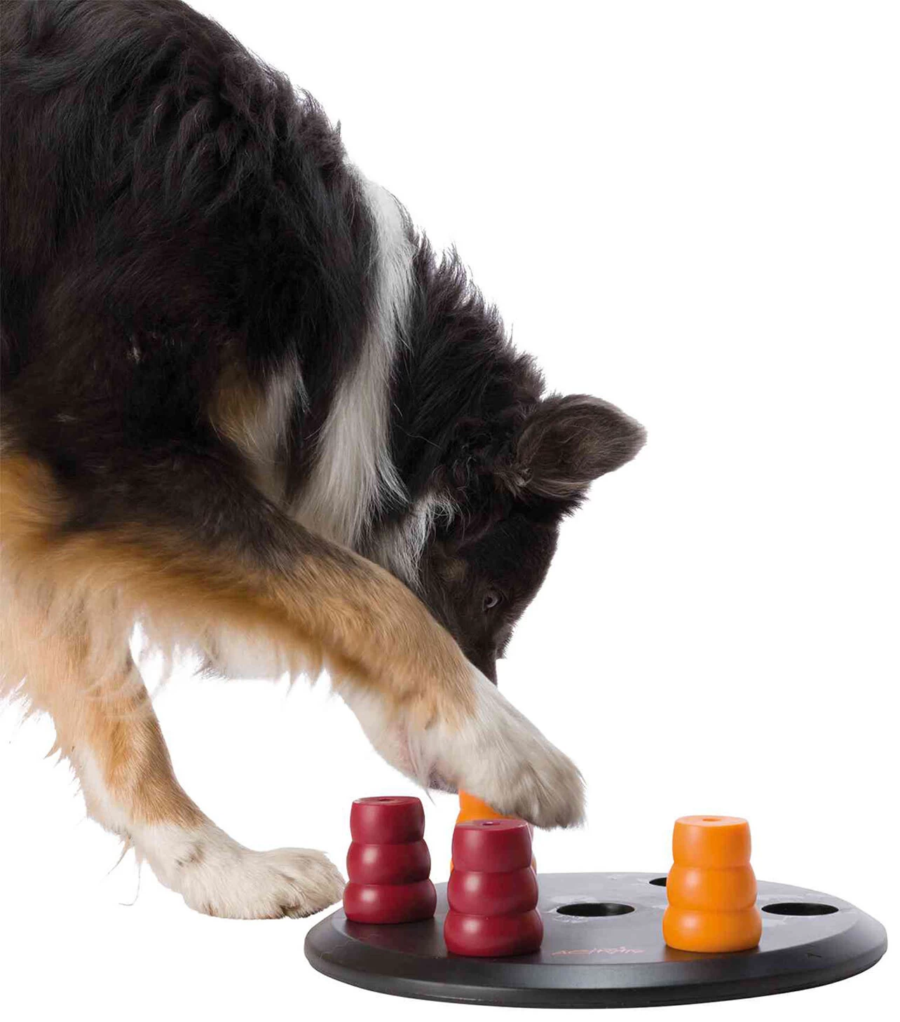 Trixie Dog Activity Solitaire 6 Trixie Dog Activity Solitaire - Image 4