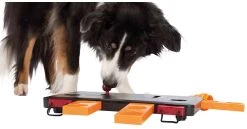 Trixie Dog Activity Move2Win Level 3 -Dog Supplies Sale Store 15995 pho pro dog clip 32025 1 6