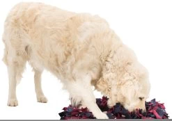 Trixie Activity Sniffing Mat -Dog Supplies Sale Store 167836 pho pro dog clip 32037 2 9