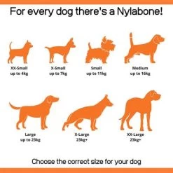 Nylabone Extreme Chew Femur - Beef Flavor Xl -Dog Supplies Sale Store 186512 interpet nylabone welpen dental kauknochen 1stck hs 05 4 64776bac1d9e1