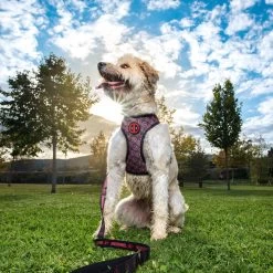 For Fan Pets Deadpool Premium Dog Harness -Dog Supplies Sale Store 2800000859 6 6273abd520e6b 627b675046a76 62824f3fb5995