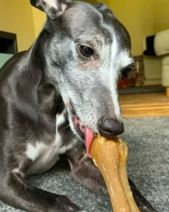 Whimzees Hypoallergenic Bone: Rice -Dog Supplies Sale Store 3 631872bd528df