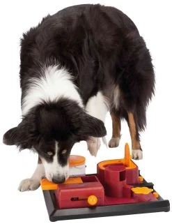 Trixie Dog Activity Poker Box 2 Level 2 -Dog Supplies Sale Store 39302 pho pro dog clip 32013 1 3