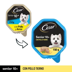 Pack 14 Cesar Wet Food For Senior Dogs In Pate With Chicken And Rice Tub -Dog Supplies Sale Store 40816 1