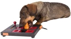 Trixie Dog Activity Mini Mover Level 3 -Dog Supplies Sale Store 42288 pho pro dog clip 32029 1 4