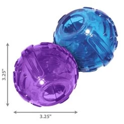 KONG Lock It 2-Pk -Dog Supplies Sale Store 425460 plt11 4 20210630061033 20210630061043 1000x1000 3