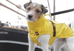Trixie Vimy Yellow Raincoat -Dog Supplies Sale Store 426360 vimyama 4