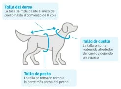 AFP Chill Out Life Jacket 13 AFP Chill Out Life Jacket -Dog Supplies Sale Store 429301 5