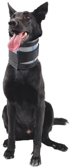 KVP Bite Free Collar Cervical Collar