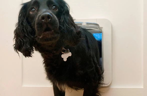 Sure Petcare SureFlap Door With Microchip Connect 8 Sure Petcare SureFlap Door With Microchip Connect - Image 6