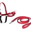 Nayeco Red Anti-Pull Harness -Dog Supplies Sale Store 430785 arnes easy walk 1 0