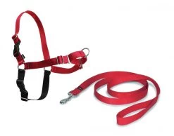 Nayeco Red Anti-Pull Harness