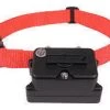 Petsafe Collar Adicional Perros Difíciles De Adiestrar -Dog Supplies Sale Store 4943 0729849107632 1