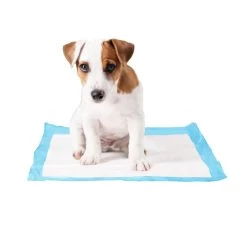 Duvo Plus Training Pads 30 Pcs. -Dog Supplies Sale Store 5414365069308 prd webl 6320562ad8e34
