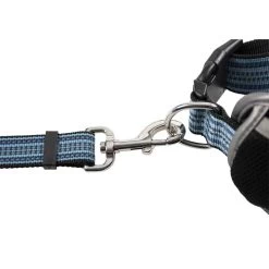 Duvo Plus Neoprene Canicross Belt And Leash 11 Duvo Plus Neoprene Canicross Belt And Leash -Dog Supplies Sale Store 5414365333058 dt2 webl 63e4b1f2d8771