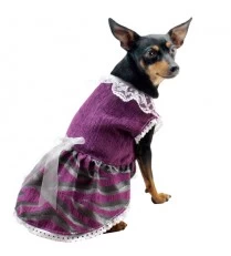 Yagu Lila Faller Suit