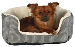 Dog Supplies Sale Store -Dog Supplies Sale Store 70380 s l1600 1