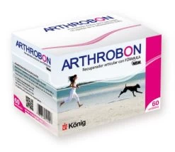 König Arthrobon