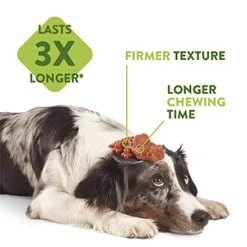 Whimzees Dental Snack For Dog Crocodile-shaped 11.7cm -Dog Supplies Sale Store 7121882 03 62881a644c6bd