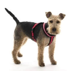 The Company Of Animals Comfy Padded Harness -Dog Supplies Sale Store 71886 comfy harness 302 2 3