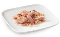 Pack 24 Schesir Canned Ocean Fish With Tuna -Dog Supplies Sale Store 8005852161765 2 schesir umido cane tonnetto pesceazzurro lattina85gr 62d687f58e937 638dadc74eeb8