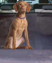 Freedog Nylon Cufflink