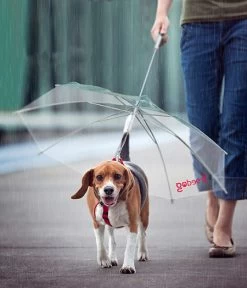 Freedog Umbrella 45Cm