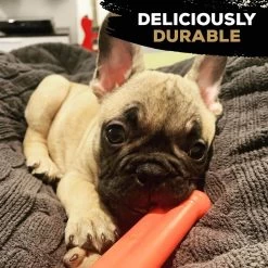 Nylabone Extreme Chew Value Pack S (Peanut / Original / Bacon) -Dog Supplies Sale Store 81jkTWZrEAL 647777c157f16