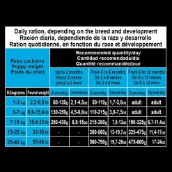 Arquivet Puppy Junior Chicken & Rice -Dog Supplies Sale Store 8435117892804 6