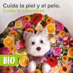 Beaphar Bio Spray Anti-tangle For Dogs And Cats -Dog Supplies Sale Store 8711231121816 3 64649ea6101e8