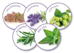 Beaphar No Stress Pack Diffuser And Recharge For Dogs -Dog Supplies Sale Store 8711231148981 2