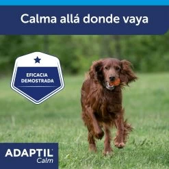 Adaptil Necklace For Dogs -Dog Supplies Sale Store ADAPTIL Calm Collar ML Carousel 7 649ad29a9d10c