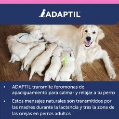 Adaptil Junior Collar -Dog Supplies Sale Store ADAPTIL Junior carousel 10 649ad36bb26b4
