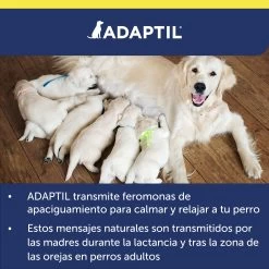 Adaptil Spray 60 Ml -Dog Supplies Sale Store ADAPTIL Transport Spray60ML carousel 9 649ad38ed7a7e