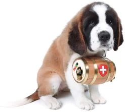 Pawz Dog Pawz Maxwax Wax For Legs 8 Pawz Dog Pawz Maxwax Wax For Legs -Dog Supplies Sale Store AS00045 2 637e127740894