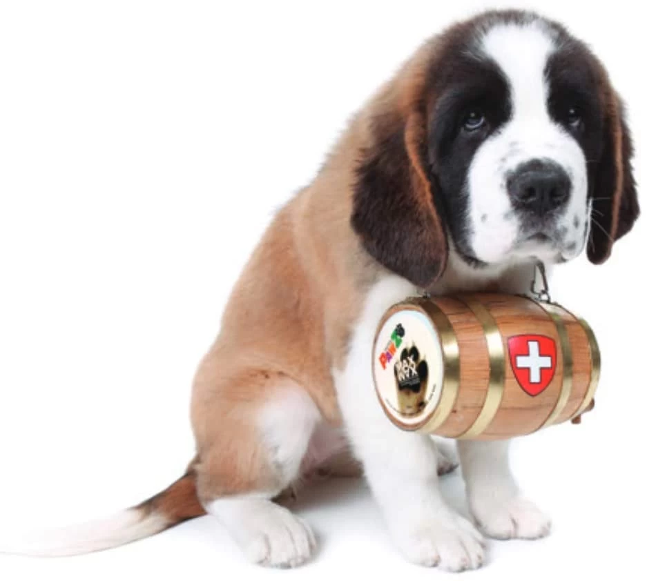 Pawz Dog Pawz Maxwax Wax For Legs 5 Pawz Dog Pawz Maxwax Wax For Legs - Image 3