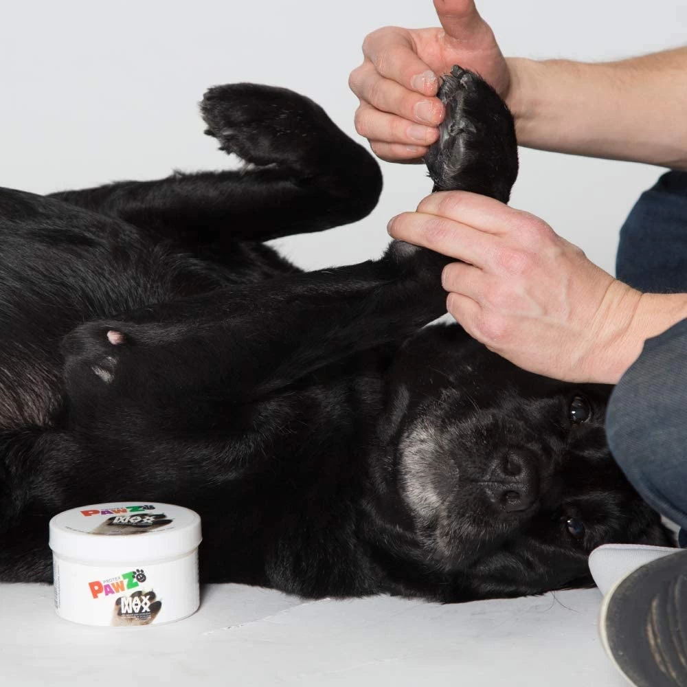 Pawz Dog Pawz Maxwax Wax For Legs 4 Pawz Dog Pawz Maxwax Wax For Legs - Image 2