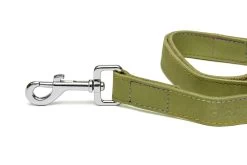 Gloria Pets Nobuk Green Leather Strap -Dog Supplies Sale Store CR07510VE CR07511VE CR07512VE 2 637dd8057da92