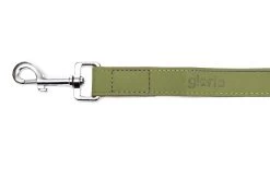 Gloria Pets Nobuk Green Leather Strap -Dog Supplies Sale Store CR07510VE CR07511VE CR07512VE 3 637dd805092a0