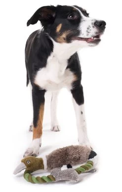 Hunter Wildlife Train Pato Dog Toy -Dog Supplies Sale Store HU44546 1 637e0725b6260