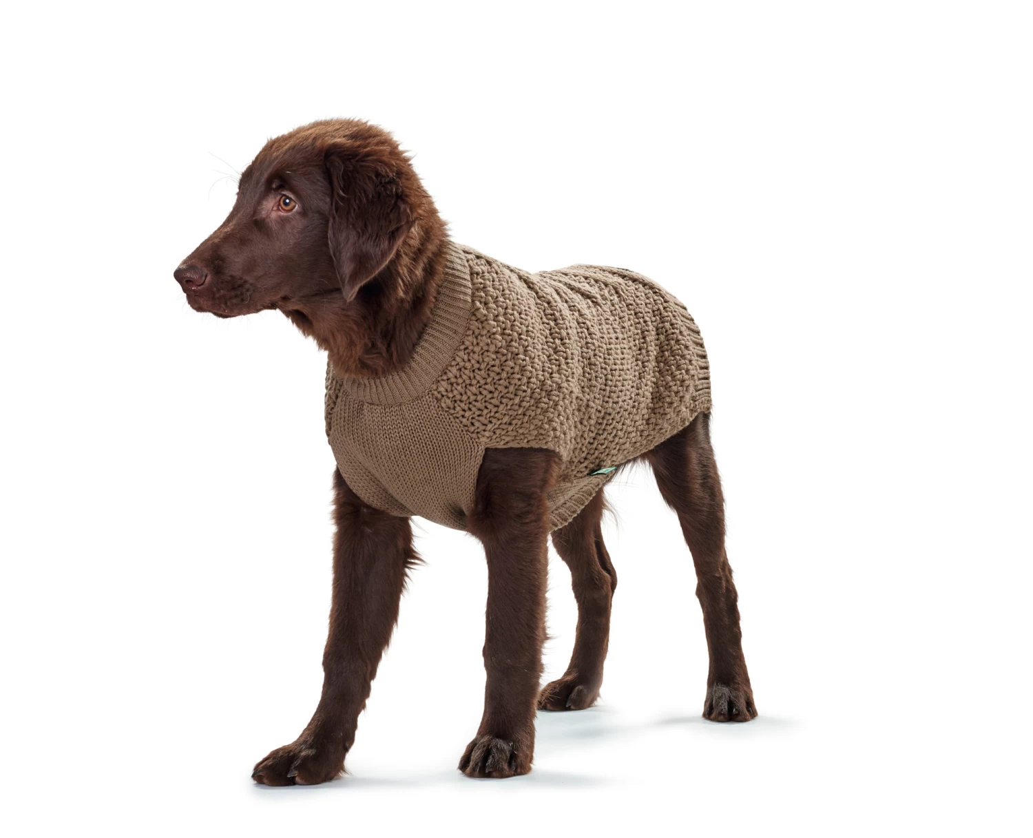 Hunter Dog Pullover Malmö Brown 6 Hunter Dog Pullover Malmö Brown - Image 4
