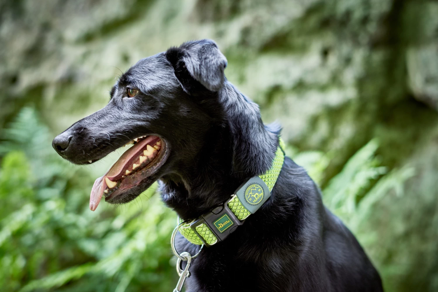 Hunter Vario Basic Collar 5 Hunter Vario Basic Collar - Image 3