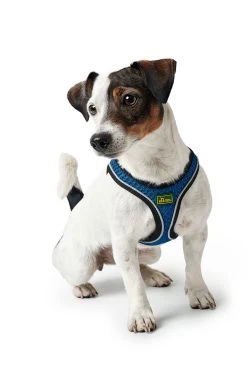Hunter Harness Hilo Comfort Blue 10 Hunter Harness Hilo Comfort Blue -Dog Supplies Sale Store HU67477 HU67478 HU67479 HU67480 HU67481 HU67482 HU67483 HU67469 3 62b03e300b362