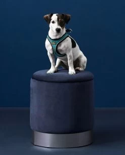 Hunter Harness Hilo Comfort Blue 11 Hunter Harness Hilo Comfort Blue -Dog Supplies Sale Store HU67477 HU67478 HU67479 HU67480 HU67481 HU67482 HU67483 HU67469 4 62b03e31ef4ce