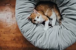 Hunter Gray Miranda Bed -Dog Supplies Sale Store HU67651 4 637e2e82ec516