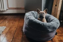 Hunter Black Miranda Bed 9 Hunter Black Miranda Bed -Dog Supplies Sale Store HU67652 3 637e2e993b7a3