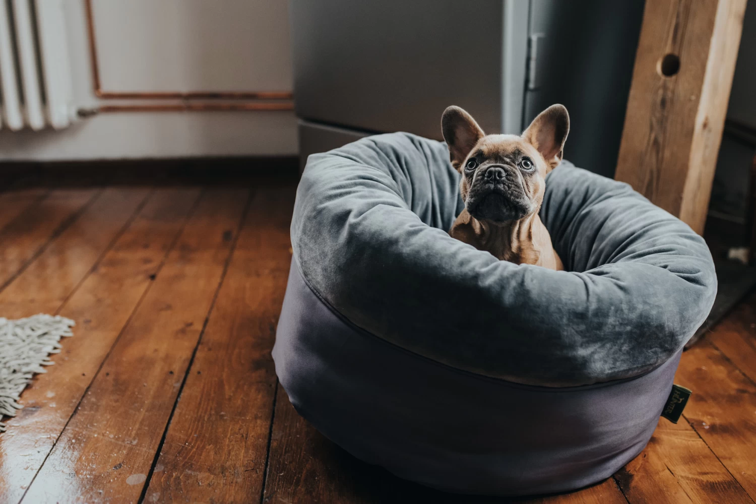 Hunter Black Miranda Bed 5 Hunter Black Miranda Bed - Image 3