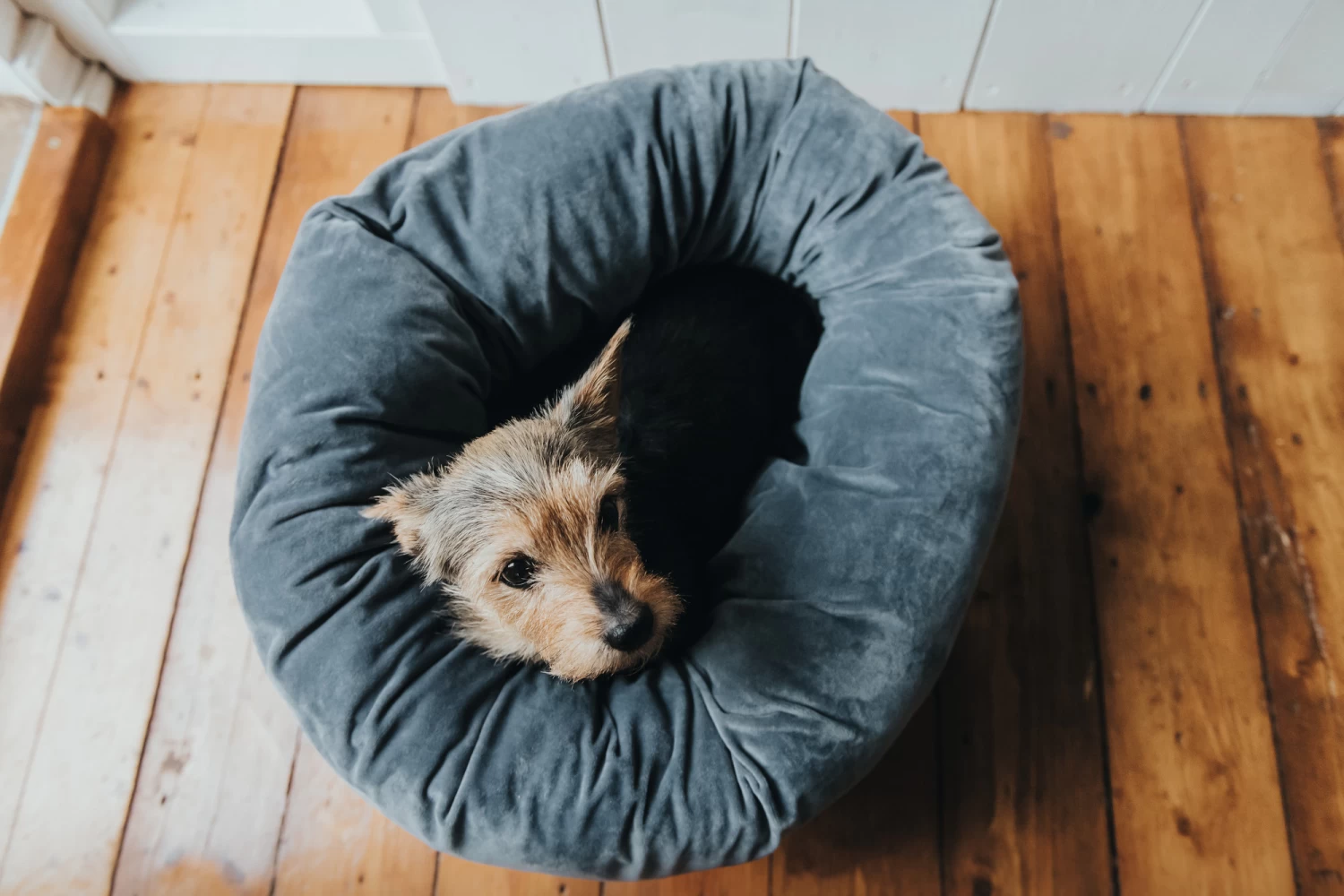 Hunter Black Miranda Bed 4 Hunter Black Miranda Bed - Image 2